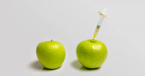 A fresh apple with a syringe and a decaying apple during, time laps, the concept Stock Footage 104649836