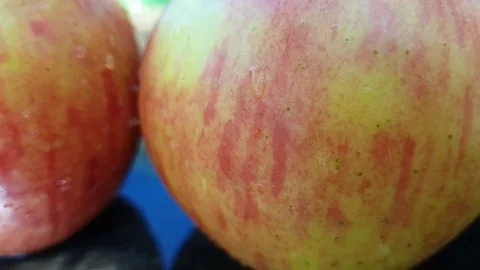 Fresh apple wet on the grass Stock Footage 95575668