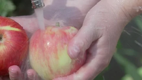 Fresh apples are washed under clean water to ensure their freshness and quality 스톡 동영상 280960419