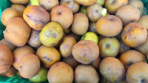 Fresh Apples in a Box at a Rural Fruit Market – Farm-to-Table Display Stock Footage 309459759