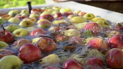 Fresh apples in a bucket moving and washing into with water tank. Careful Stock Footage 167660814