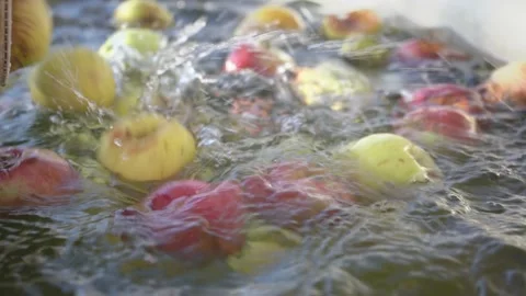 Fresh apples in a bucket moving and washing into with water tank. Careful Stock Footage 167701870