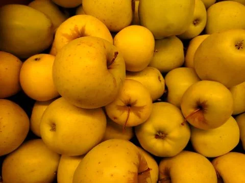 Fresh apples close-up Stock Photos