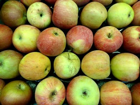 Fresh apples close-up Stock Photos