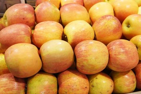 Fresh apples of different varieties. 스톡 사진