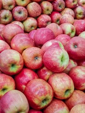 Fresh Apples on Display Stock Photos