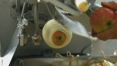 Fresh apples in dried fruit production line. Видео 83663072