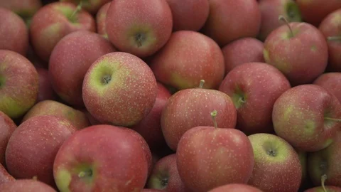 Fresh Apples Vídeo Stock 122129587