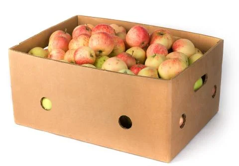 Fresh apples Stock Photos