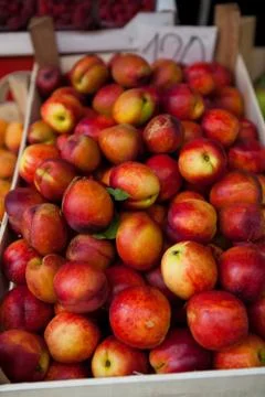Fresh apples Foto stock