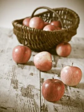 Fresh apples Stock Photos