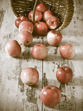 Fresh apples Stock Photos