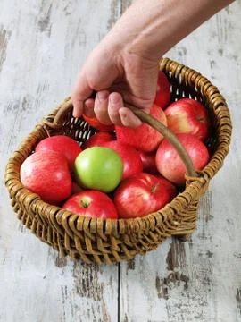 Fresh apples Foto stock