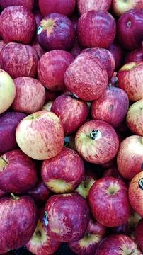 Fresh Apples Stock Photos