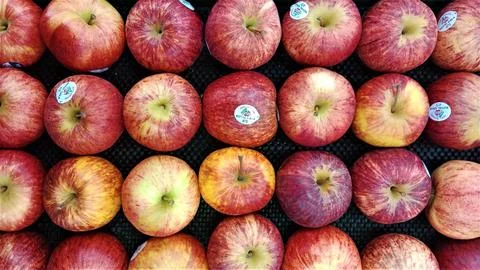 Fresh apples Foto stock