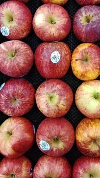 Fresh apples Stock Photos
