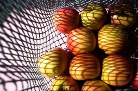 Fresh apples in string bag, shadows, healthy fruits, Eco friendly, zero waste Foto stock