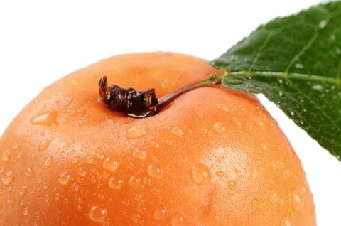 Fresh apricot with a leaf Stock Photos