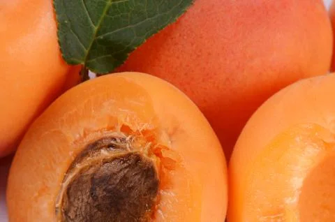 Fresh apricot with a leaf Stock Photos