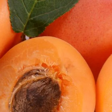 Fresh apricot with a leaf Foto stock