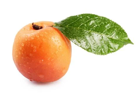 Fresh apricot with a leaf Stock Photos