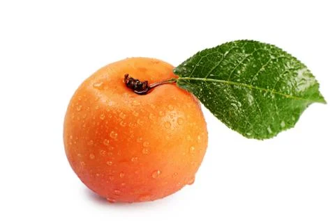 Fresh apricot with a leaf Stock Photos