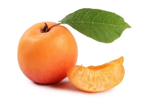 The fresh apricot with a leaf 스톡 사진