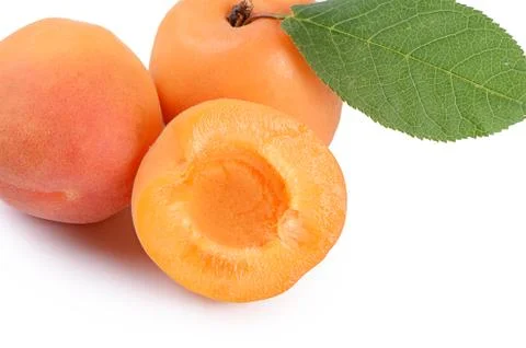 Fresh apricot with a leaf Stock Photos