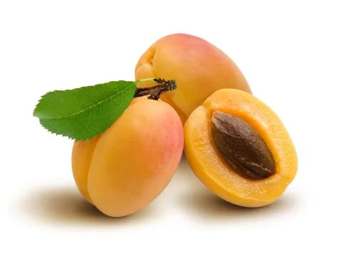 Fresh apricot with leaf Stock Photos