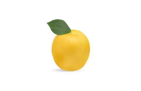 Fresh apricot with leaf on white background. Clipping Path Stock Photos