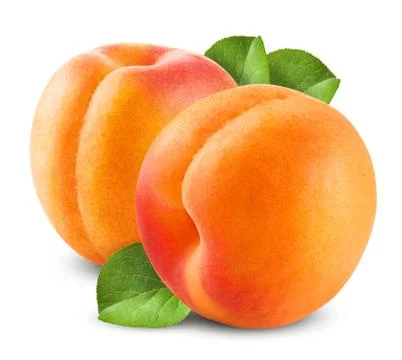 Fresh apricot Stock Photos