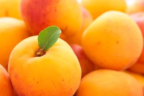 Fresh apricots background. Stock Photos