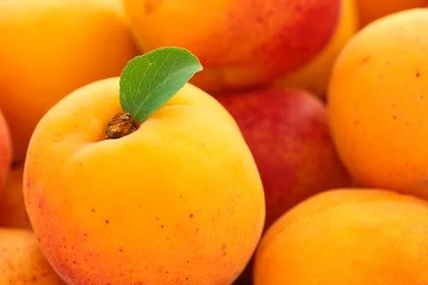 Fresh apricots background. Stock Photos