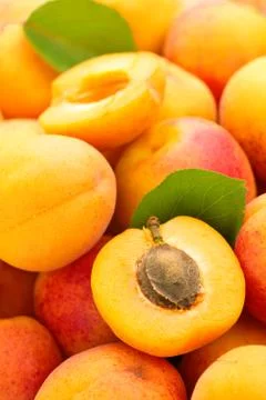 Fresh apricots background. Stock Photos