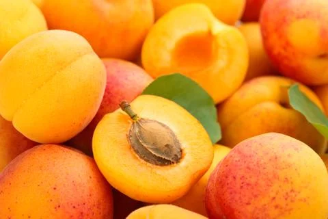 Fresh apricots background. Stock Photos