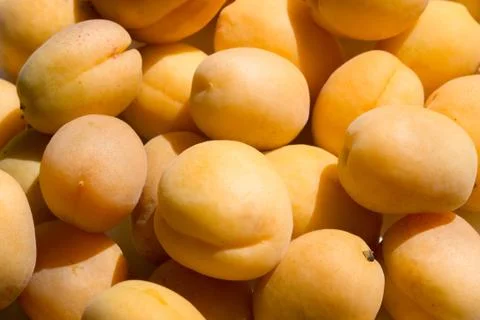 Fresh apricots as background Stock Photos