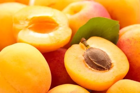 Fresh apricots. Stock Photos