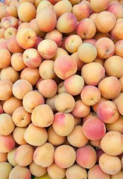 Fresh apricots Stock-Fotos