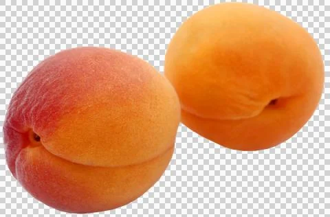 Fresh apricots Stock Photos