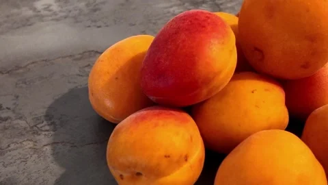 Fresh apricots rotating in deep plate on white background Video stock 342982630