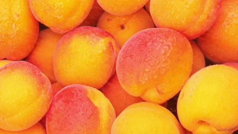 Fresh apricots rotation close up Stock Footage 203848474