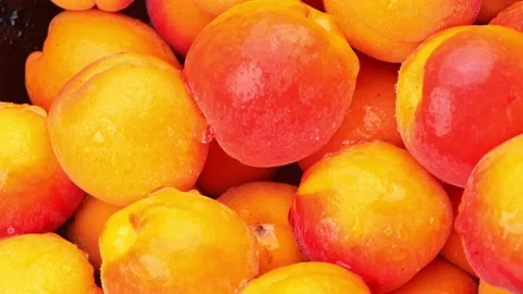 Fresh apricots rotation close up Stock Footage 206608277