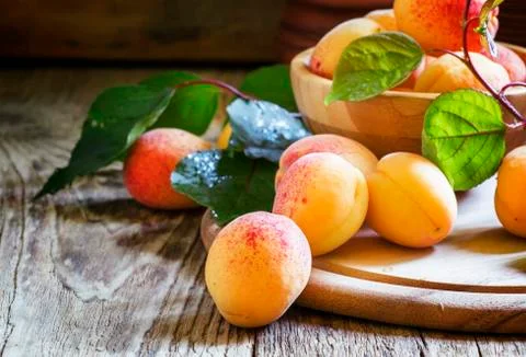 Fresh apricots, selective focus Stock Photos