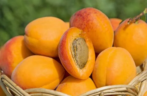 Fresh apricots on  table Stock Photos