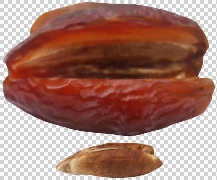 Fresh Arabian dates Stock Photos