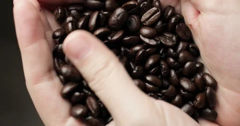 Fresh aroma coffee beans for preparing natural beverage in woman's hands. Stock Footage 147347213