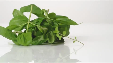 Fresh aromatic Basil Leaves And Stems Whole Bouncing Slow Motion White Tabletop Stock Footage 335463316