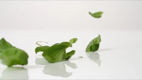 Fresh aromatic Basil Leaves Caprese Pesto Italian Bouncing Slow Motion White Stock Footage 335463502