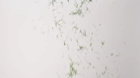 Fresh aromatic Chopped Dill Pickles Tzatziki Raining Slow Motion White Backdrop Stock Footage 336224002