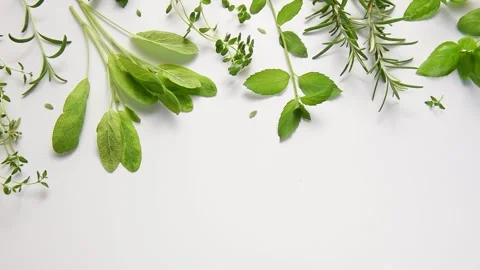 Fresh aromatic cooking herbs moving gently Stock Footage 340193926